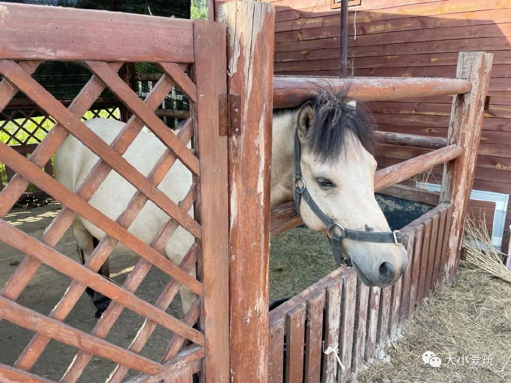 打卡北京这个超级亲子度假村！见识了遛娃界天花板，奉上超全攻略