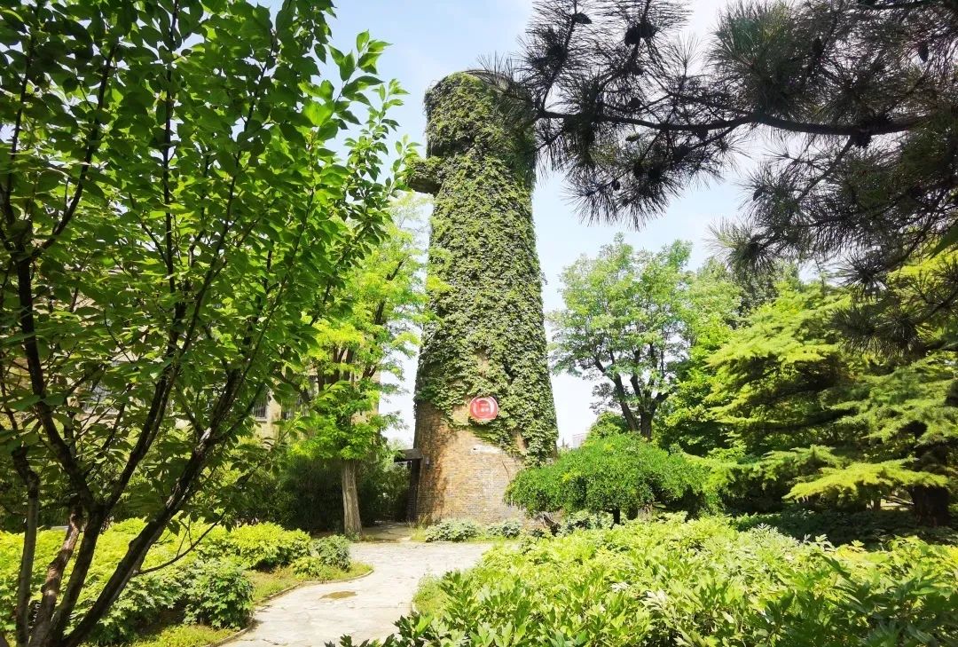 中国农业大学在2020年招生简章,中国农业大学招生简章2024