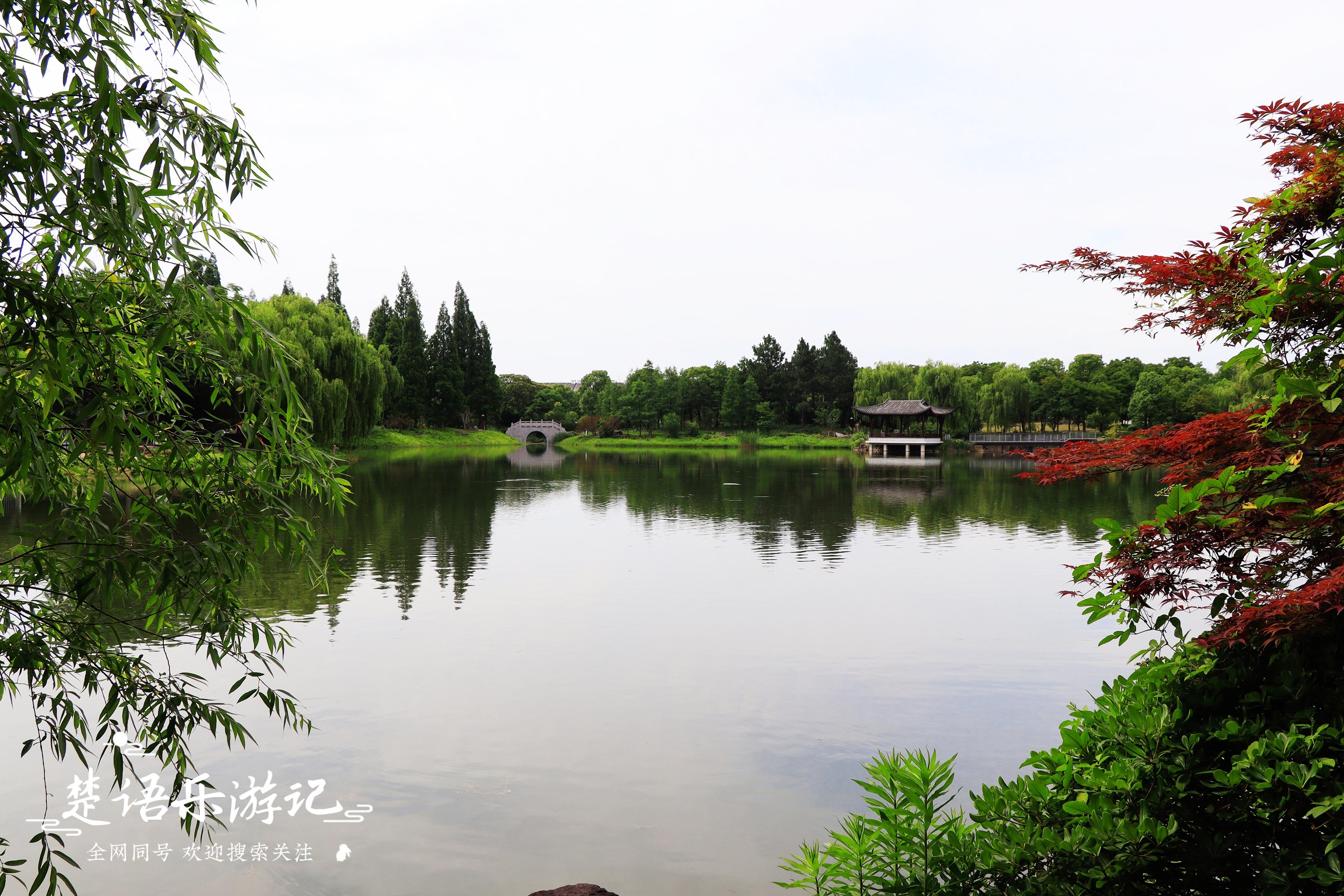 绍兴中华孝道园一日游,绍兴中华孝道园