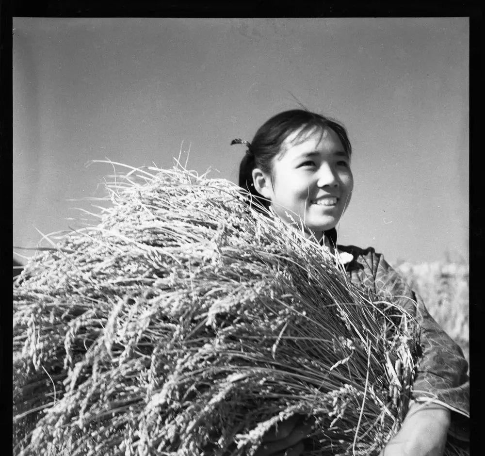 集中营图片真实照片,集中营老照片真实