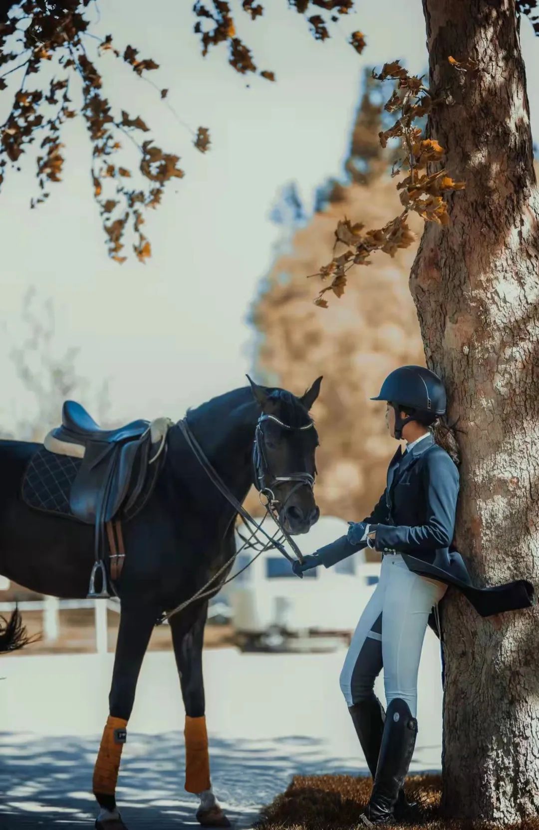 该不该给青少年买马，你的孩子真需要一匹马么？