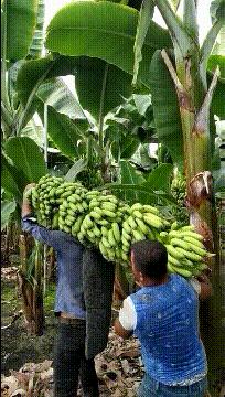 神回复:老鼠贴粘到的,吃了不会犯法吧?网友:自首,争取死缓