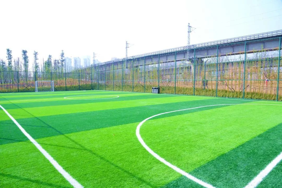 运动公园免费吗,免费运动公园冬天