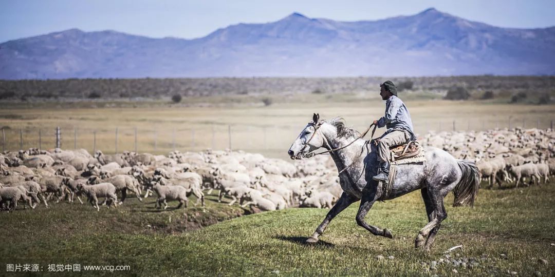 博尔赫斯小径分岔花园,博尔赫斯小径分岔的花园在线阅读