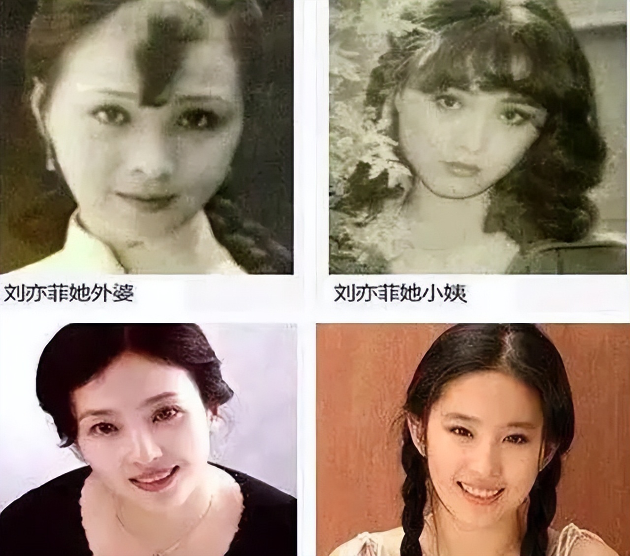 刘亦菲母亲刘晓莉：64岁两婚两离，如今是单身贵族，比女儿美多了