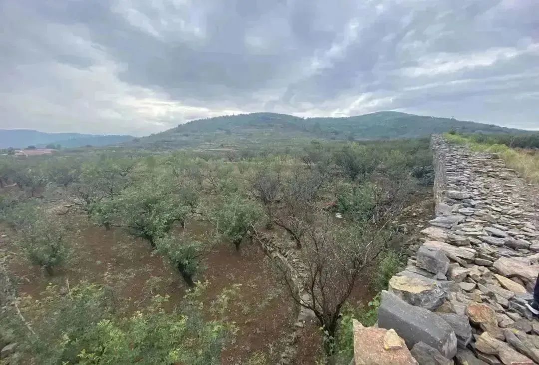 山东打出文旅高质量发展组合拳,推进山东文化和旅游业高质量发展