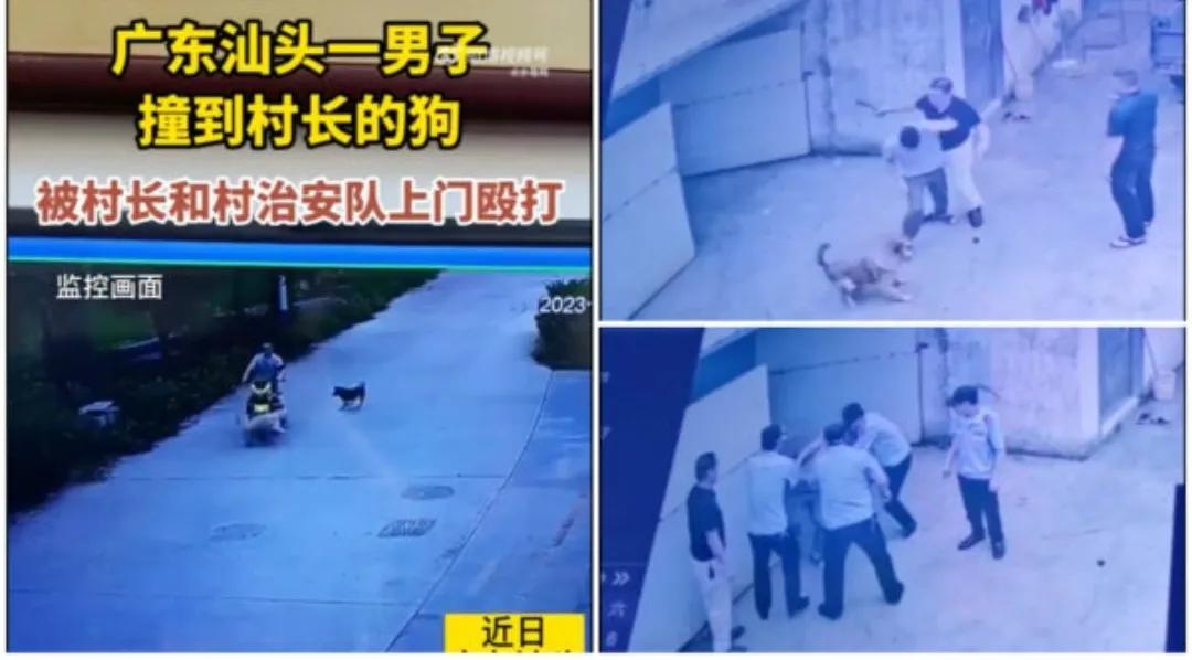 村民撞村长狗被殴打视频,撞村长家的狗