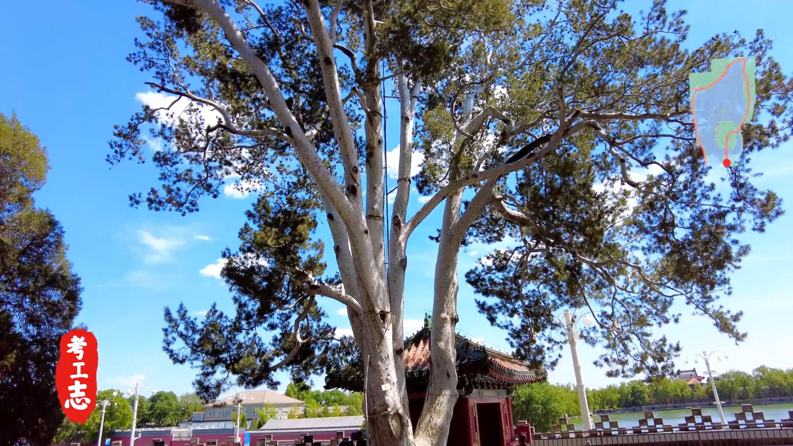 无人发现！众目睽睽下，隐藏百年的工艺巧思「北京北海公园」