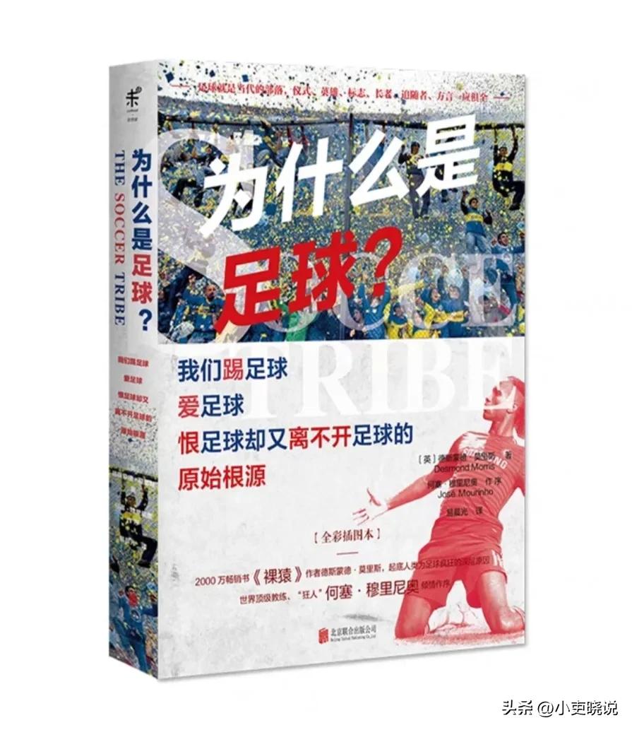 为什么足球叫世界杯,为什么是足球txt电子书