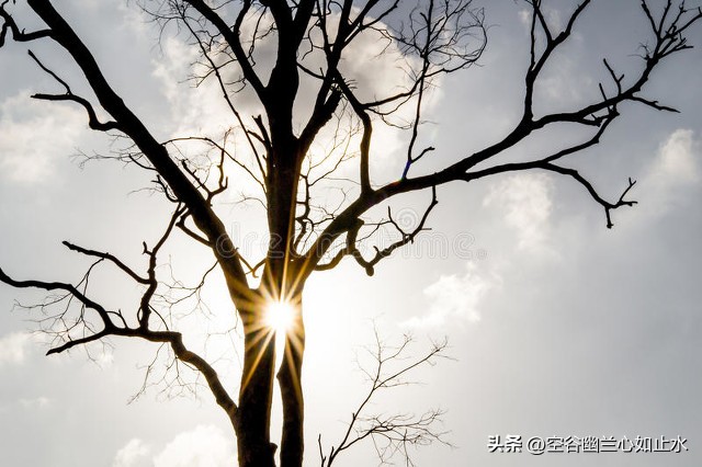 难忘的童年故事,难忘的童年趣事开头