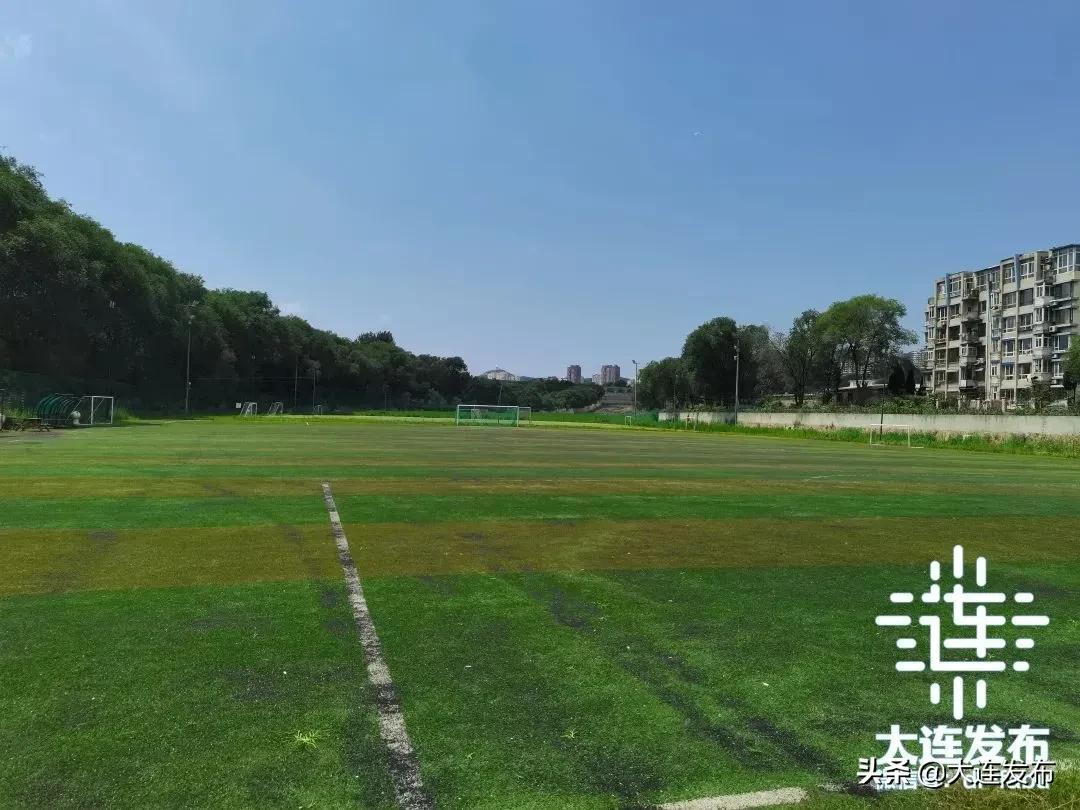 最近足球场在哪里,足球场最新消息