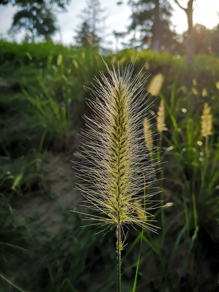 孔明经典语录,孔明经典语录100首