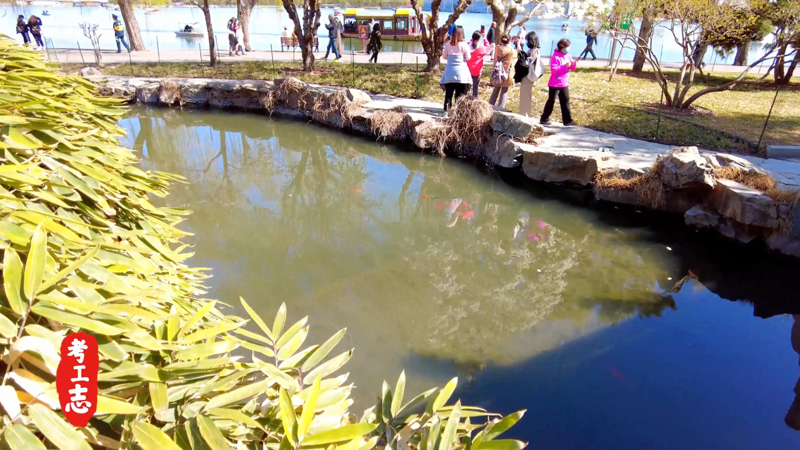 无人发现！众目睽睽下，隐藏百年的工艺巧思「北京北海公园」