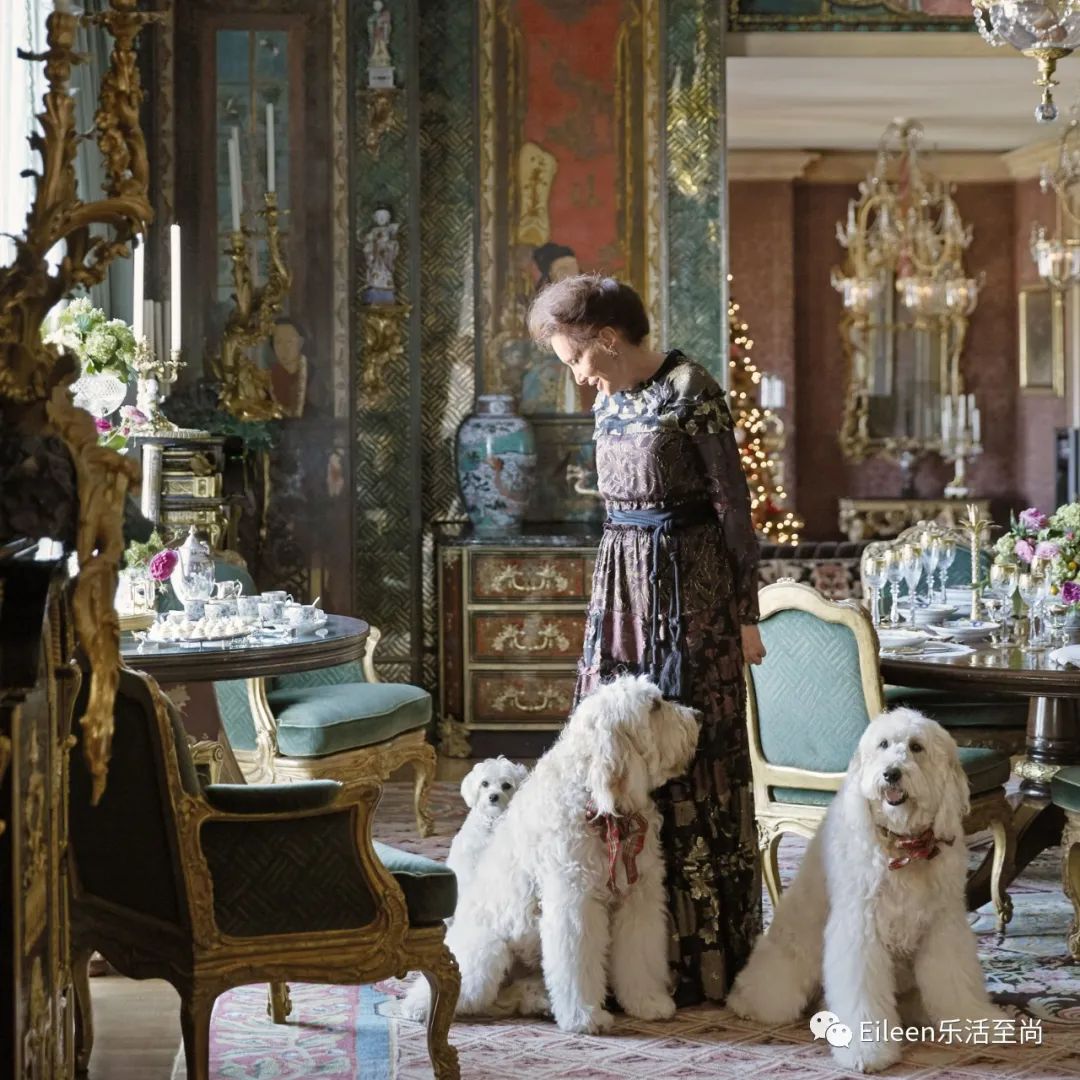 私嫁首富公子？黑金豪门除了宫斗还有什么样的奢宅美人？