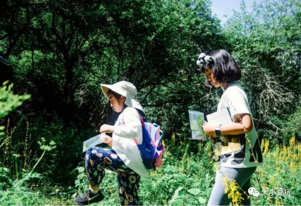 盘点从北到南带娃欢度的小众地！海边、沙漠、喂熊猫、看火箭…