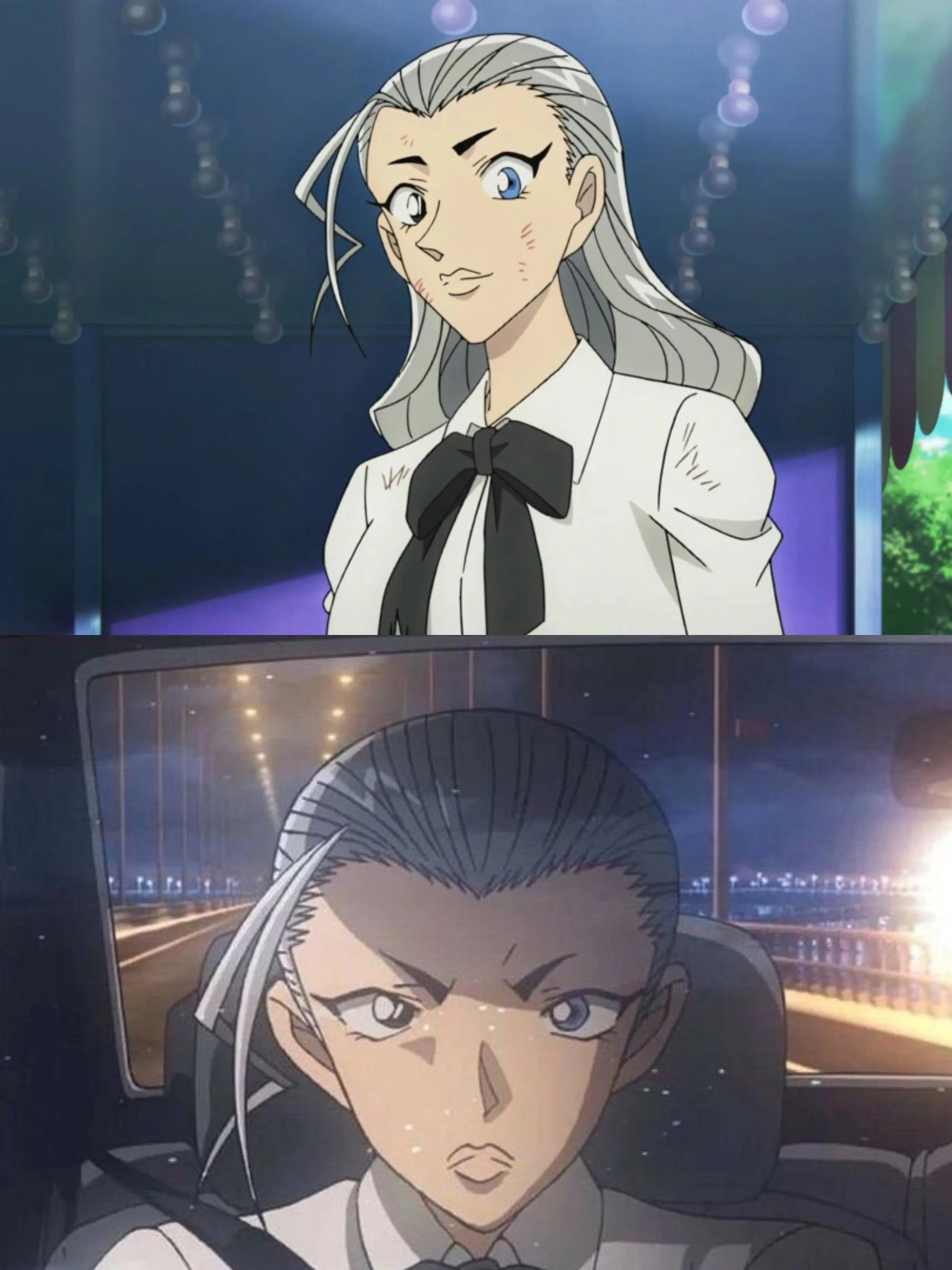 柯南中的红方和黑方是什么意思,名侦探柯南中的红方和黑方是啥