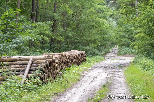 难忘的童年故事,难忘的童年趣事开头