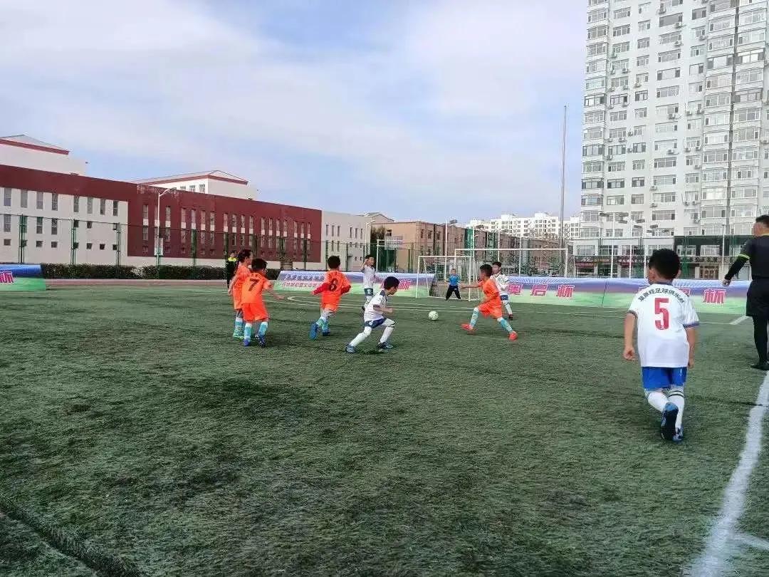 回首2021这一年,回顾2019精彩体育瞬间