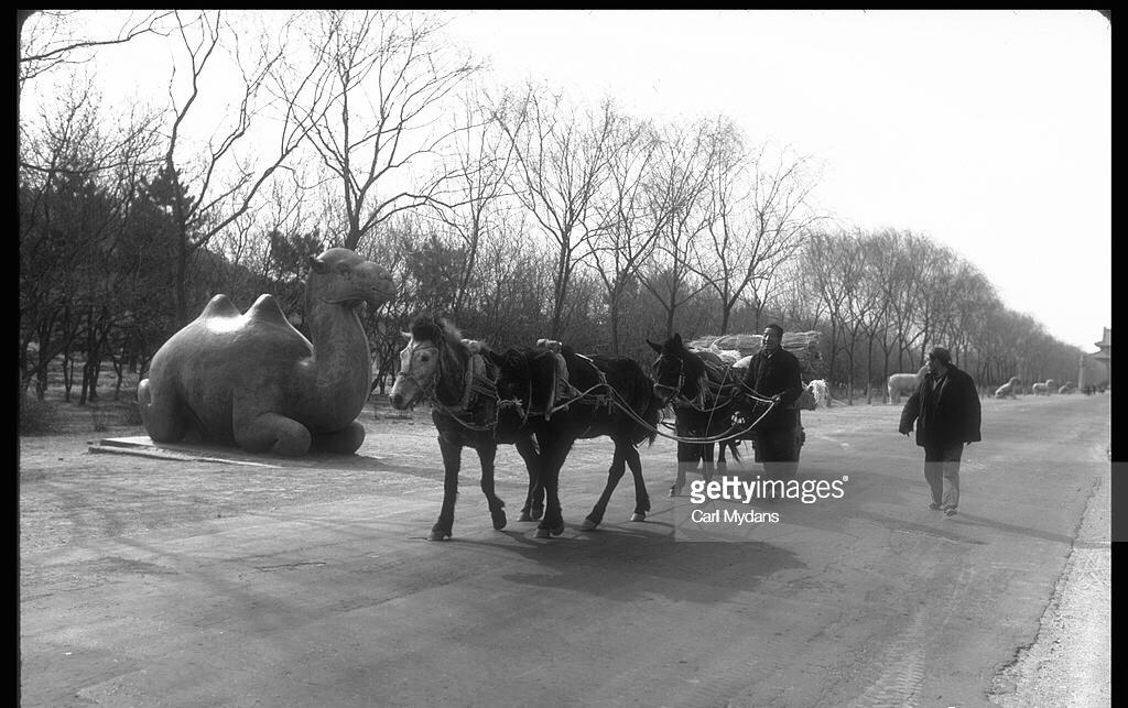 集中营图片真实照片,集中营老照片真实