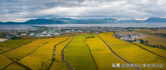 梦中的回忆故事,模糊的童年故事