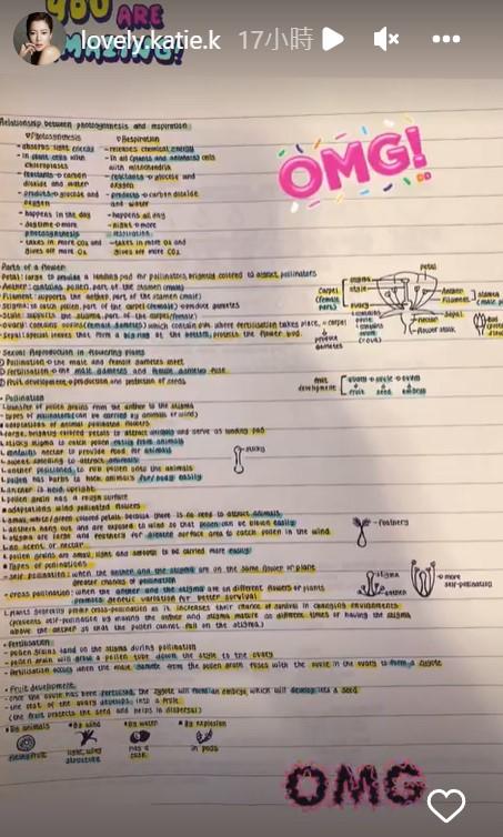 金喜善对女儿的评价,金喜善上学