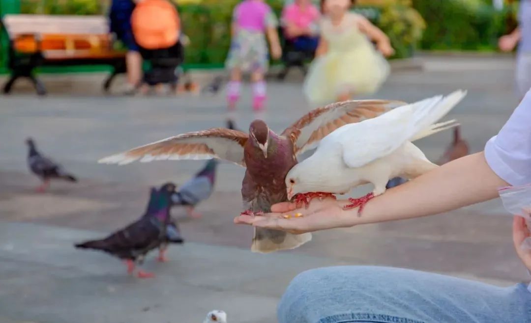 人民广场真实现状,人民广场站现状
