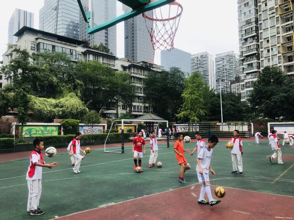 鎴愰兘涓冧腑绀惧洟娲诲姩,鎴愰兘涓冧腑绀惧洟