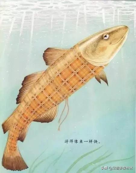 我爸爸绘本好书推荐卡,父亲节礼物绘本