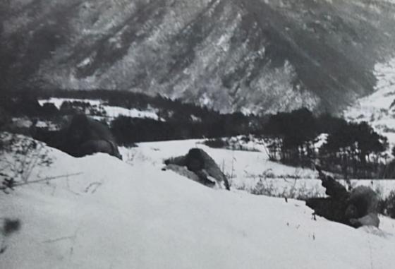 长津湖战役如何胜利的,长津湖向牺牲的革命军人致敬