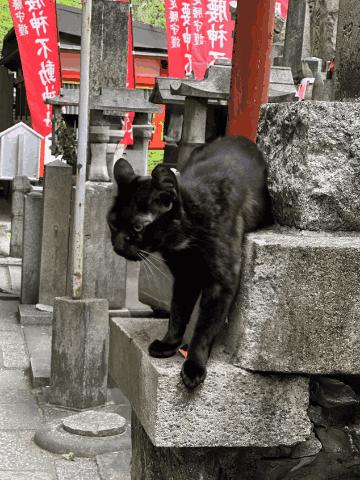 ps免费在线工具,ps零基础多久可以学会简单的p图