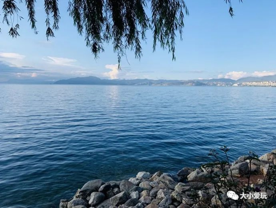 盘点从北到南带娃欢度的小众地！海边、沙漠、喂熊猫、看火箭…