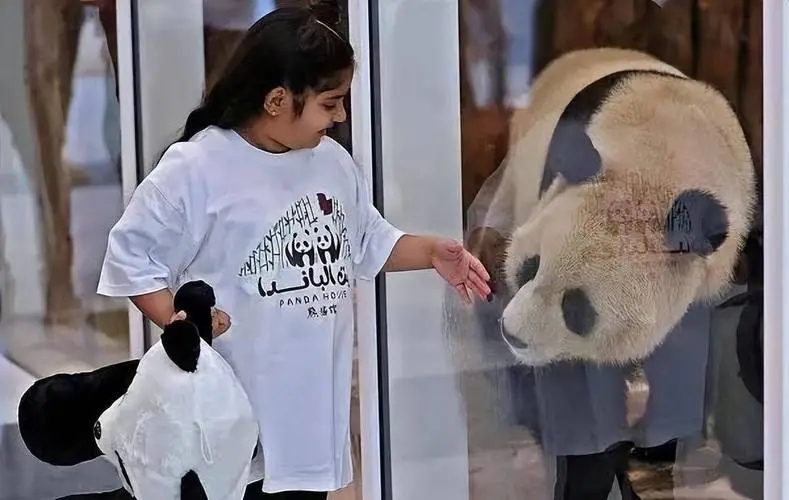 卡塔尔世界杯中国元素感悟,卡塔尔世界杯带来的经济效益