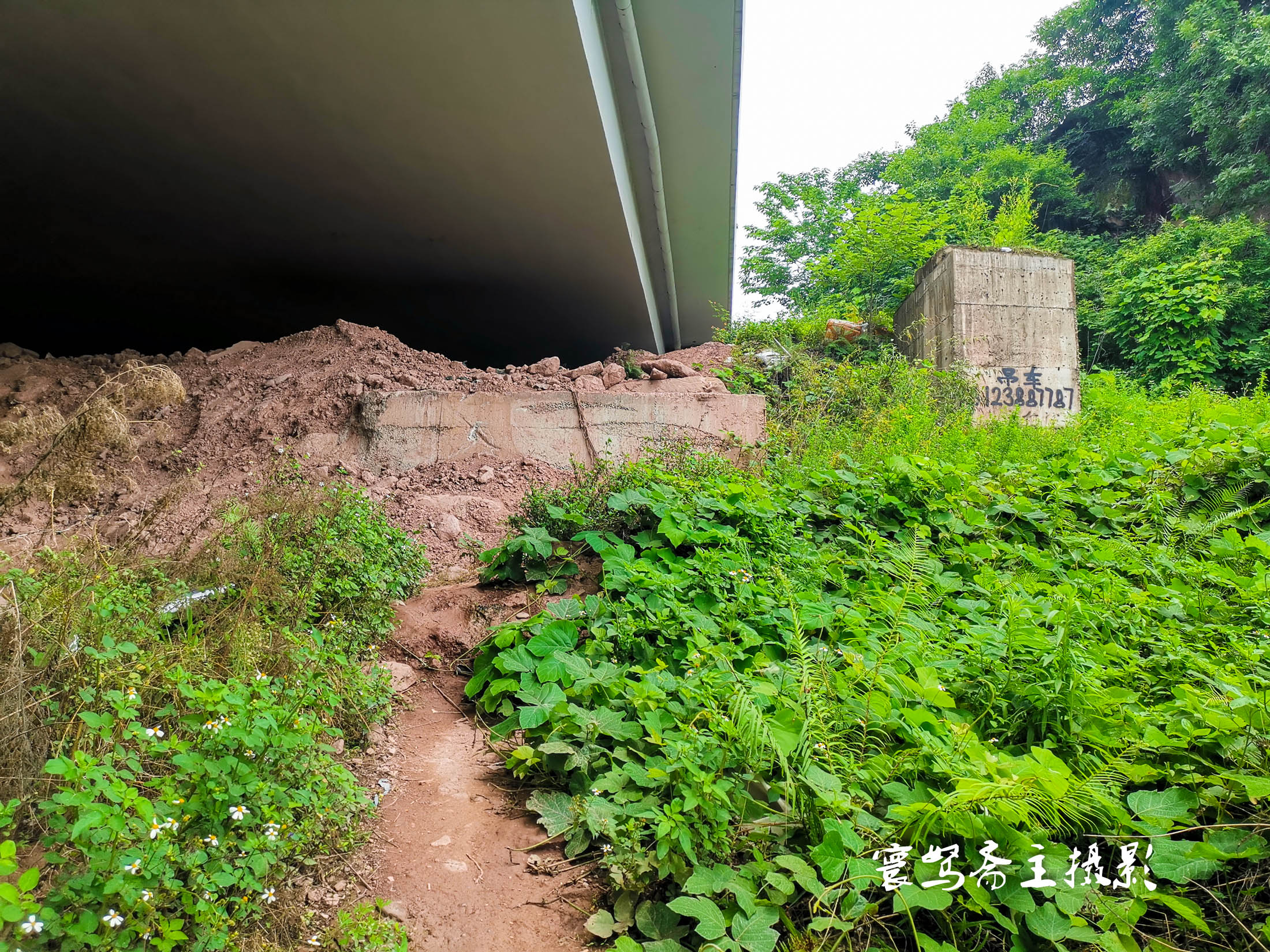重庆茅溪百年偃月桥,重庆长江大桥两岸风光