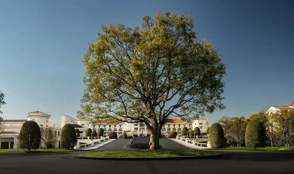 苏宁钟山国际高尔夫酒店,苏宁钟山国际高尔夫酒店项目