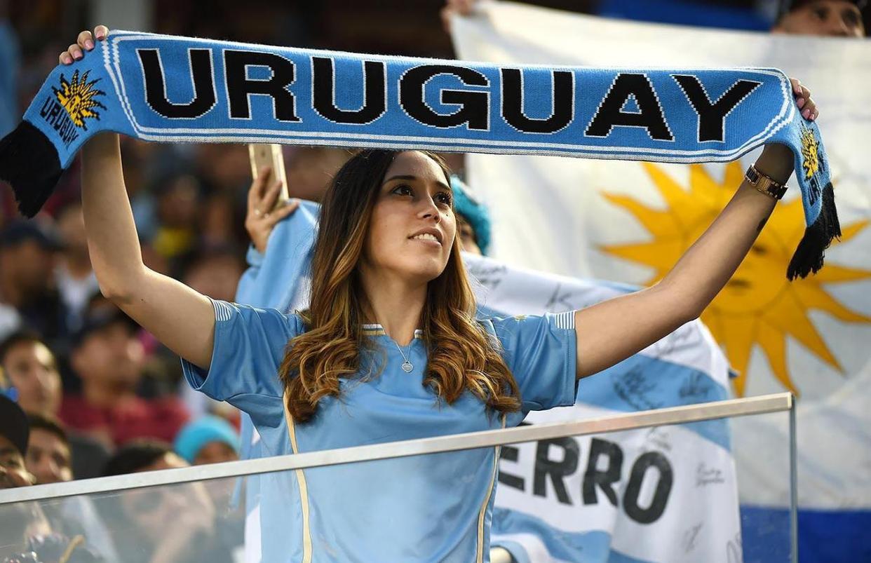 世界杯足球队徽,世界杯足球队的队徽