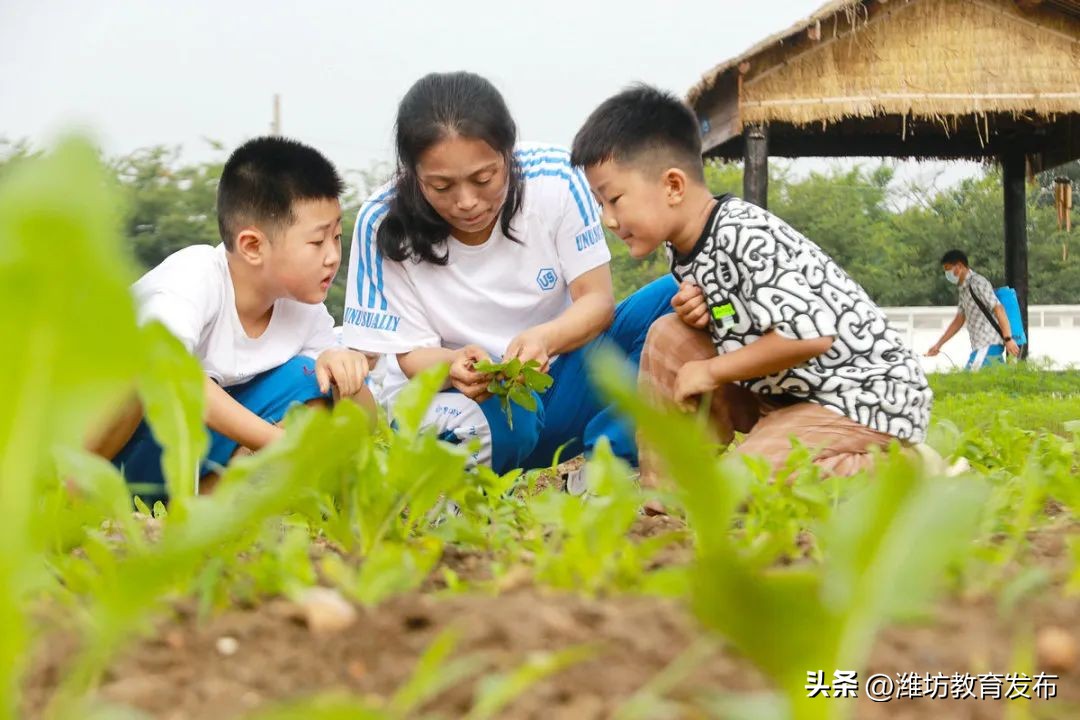 新闻周播报完整版,潍坊校园新闻播报