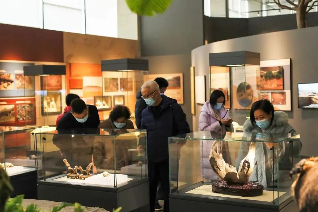 广西24个国家重点文物保护古建筑,广西考古遗址在哪里