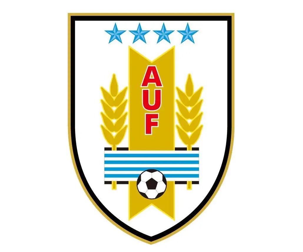 世界杯足球队徽,世界杯足球队的队徽