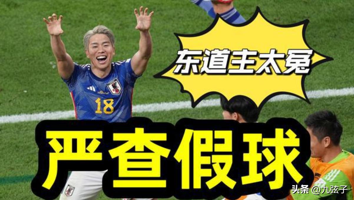 张鹭为什么没打进主力,不爱惜羽毛的古诗词