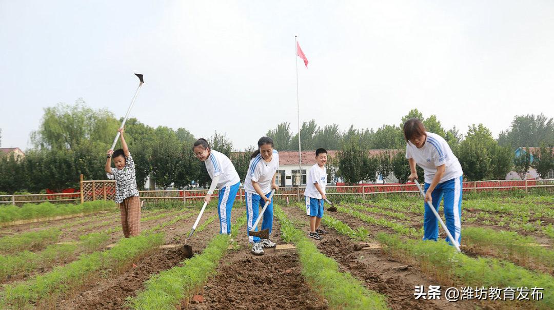 新闻周播报完整版,潍坊校园新闻播报