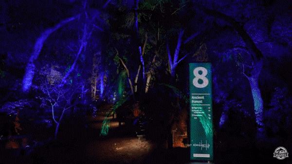 100个夜游项目推荐,沉浸式夜游项目经典案例