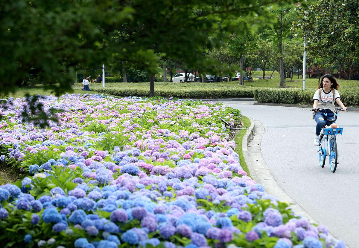 山河远阔不如一碗人间烟火的意思,山河远阔音乐