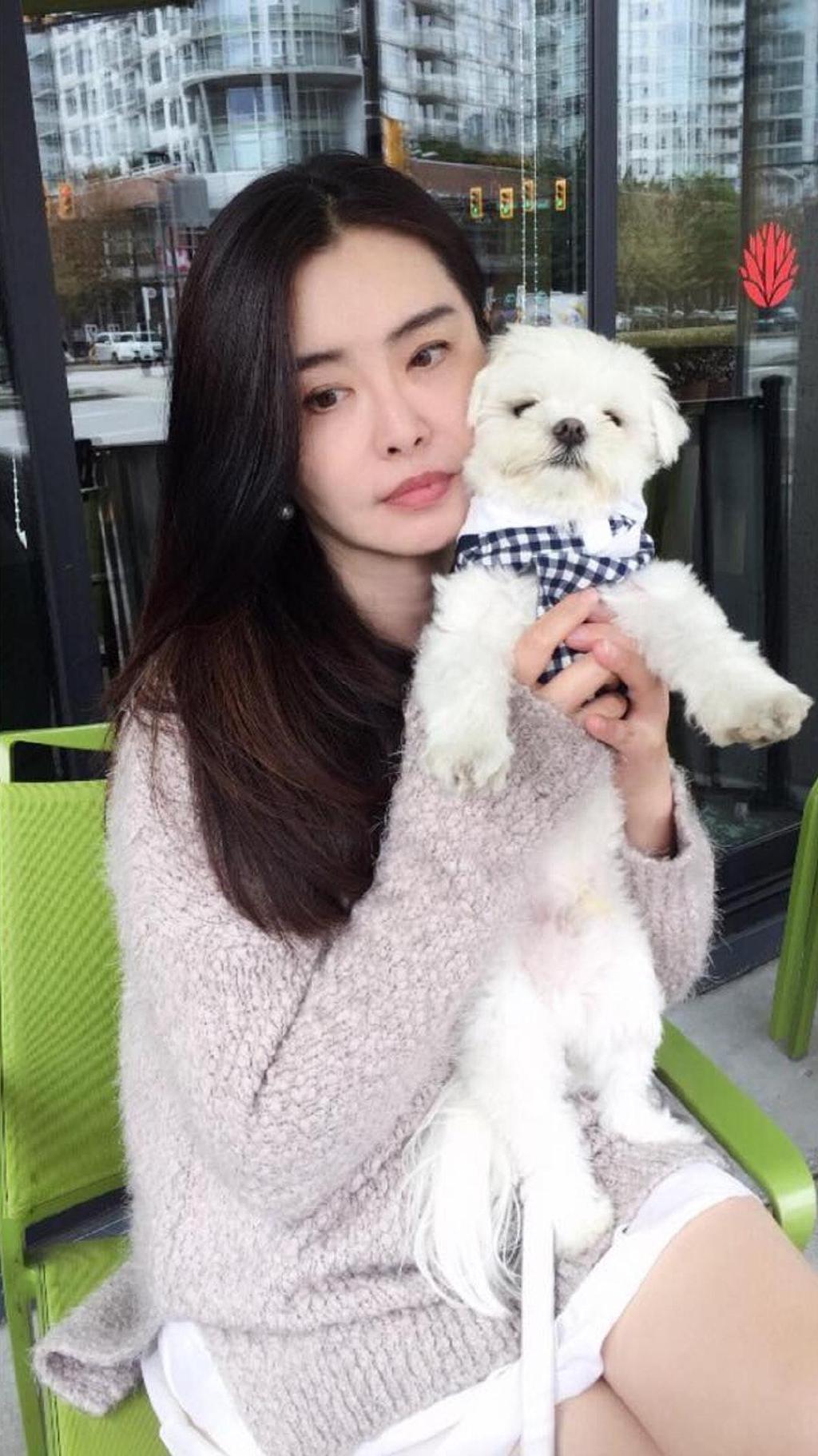 曾红透半边天女星,曾经红透的5大明星