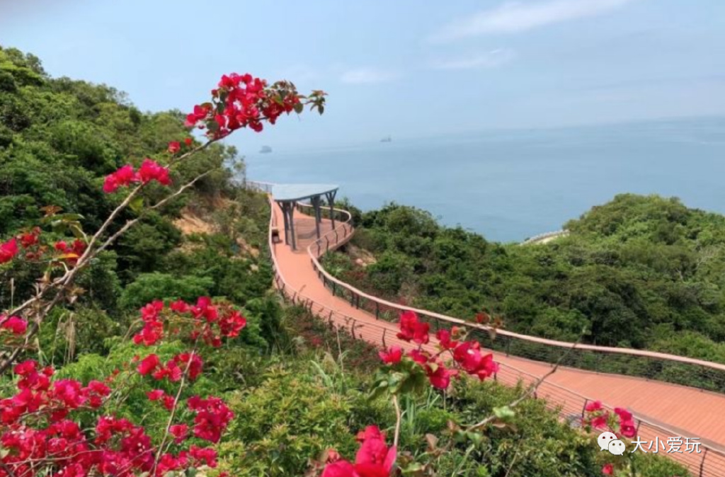 盘点从北到南带娃欢度的小众地！海边、沙漠、喂熊猫、看火箭…