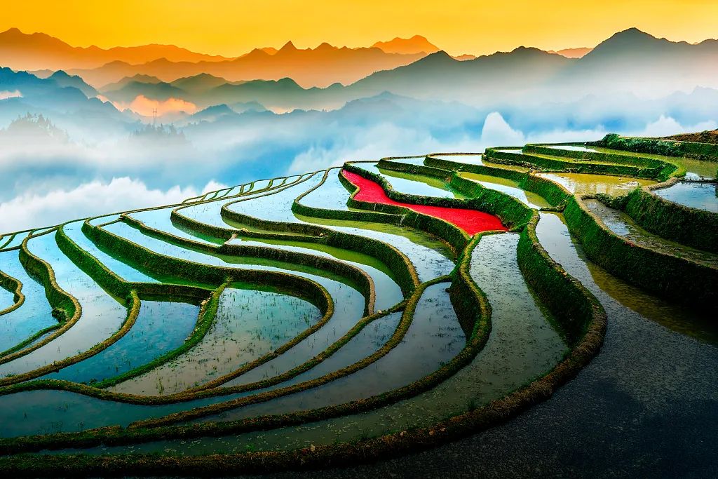 线条之美,线条之美文章赏析