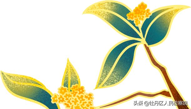 历史上的张飞真的会刺绣吗,张飞绣花到底是真的吗