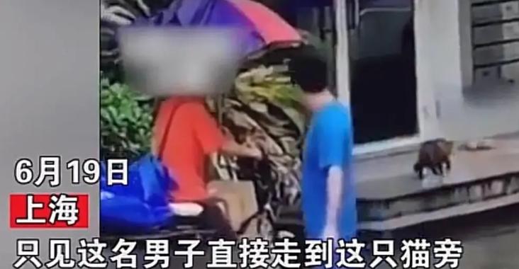 男子故意将小猫一脚踩死报警,男子将小猫踩死后续抓到了吗