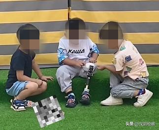 名单公布！西安入选；出行注意！这些列车有调整→【9月15日周四新闻速览一分钟】