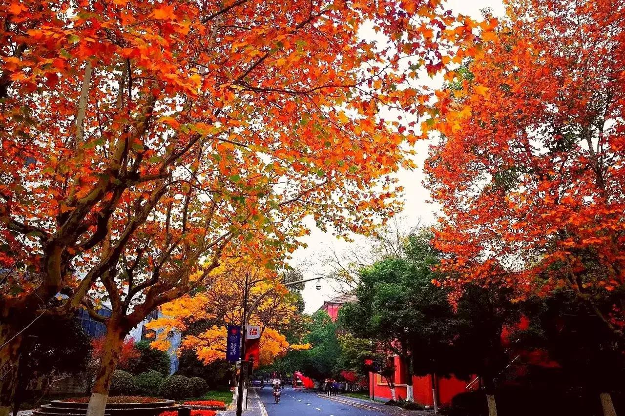 加代vs赖氏兄弟全文阅读,加代与赖氏的江湖故事合集