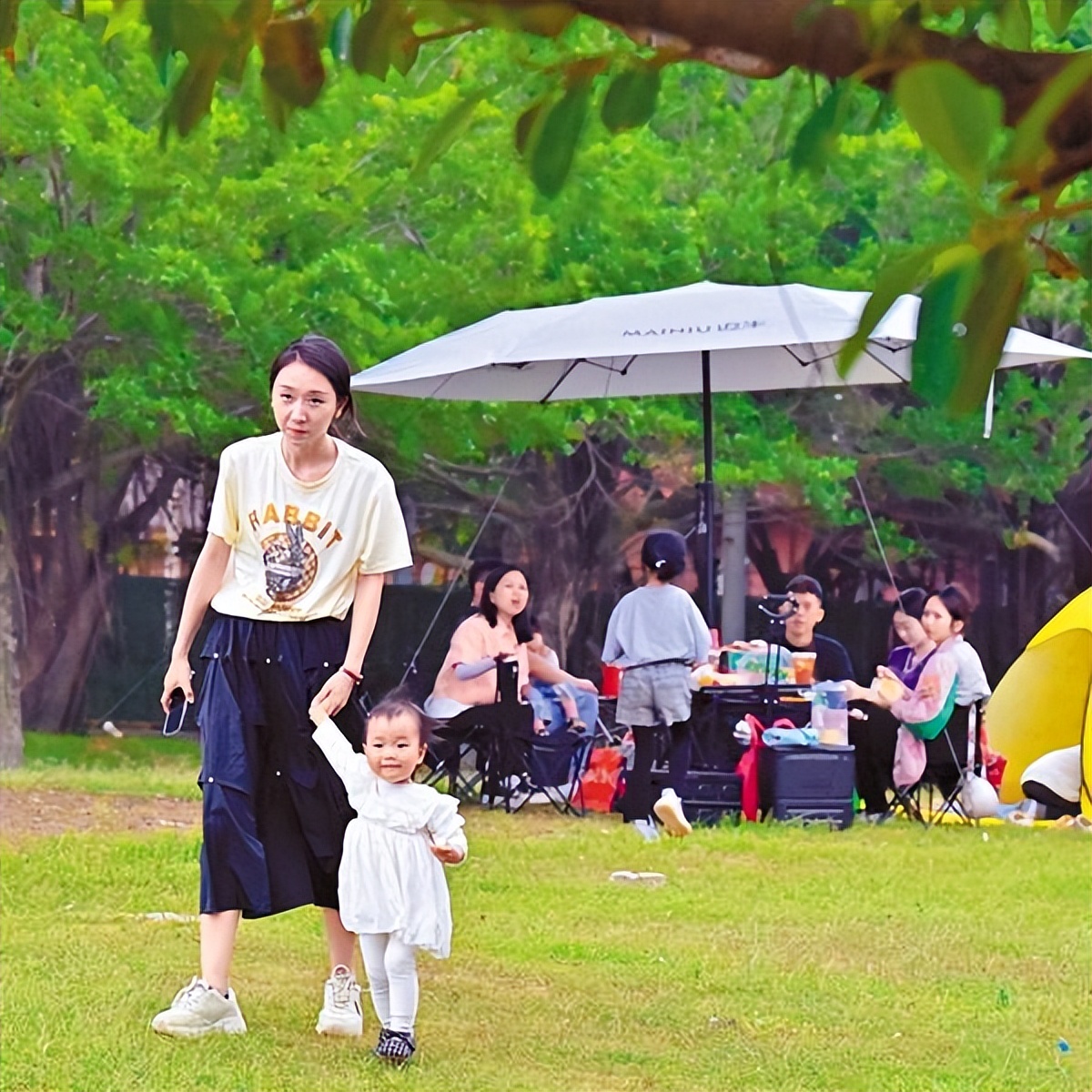 露营热醒,露营热户外经济